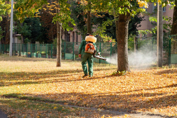 Pest Prevention Services in Nyssa, OR